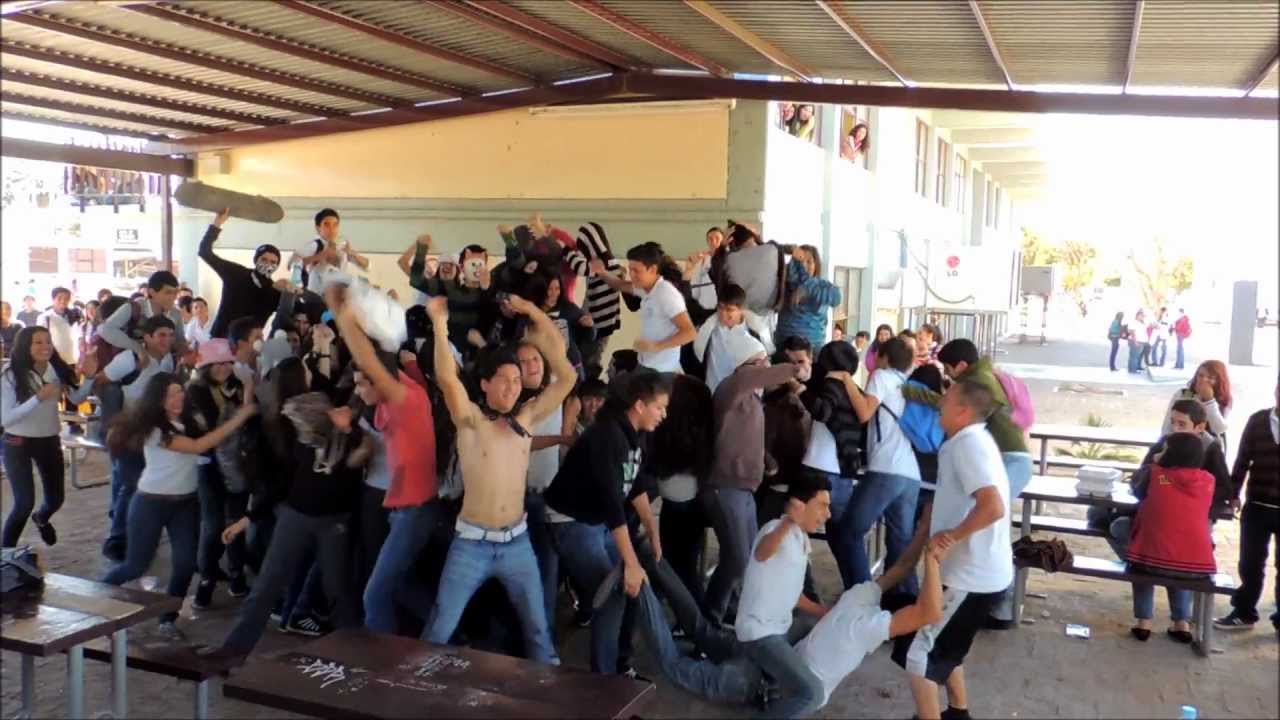 HARLEM SHAKE HIGH SCHOOL CBTis 37
