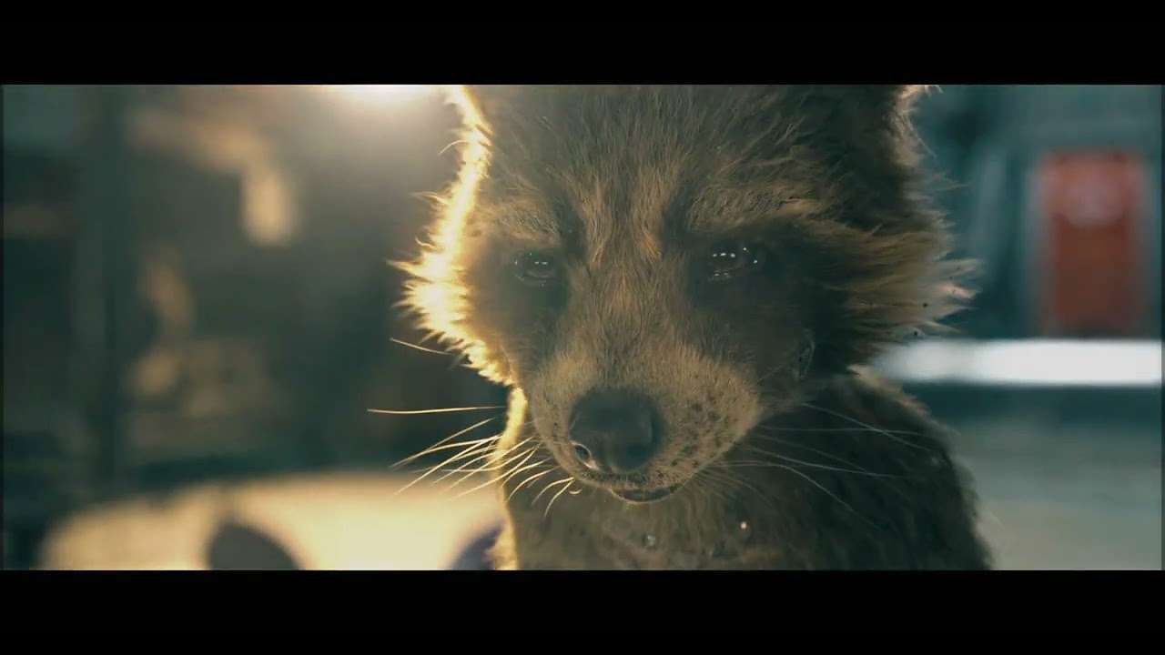 Rocket raccoon || Billie Eilish, Khalid - lovely || Guardians of the Galaxy Vol. 3 || sad story ||