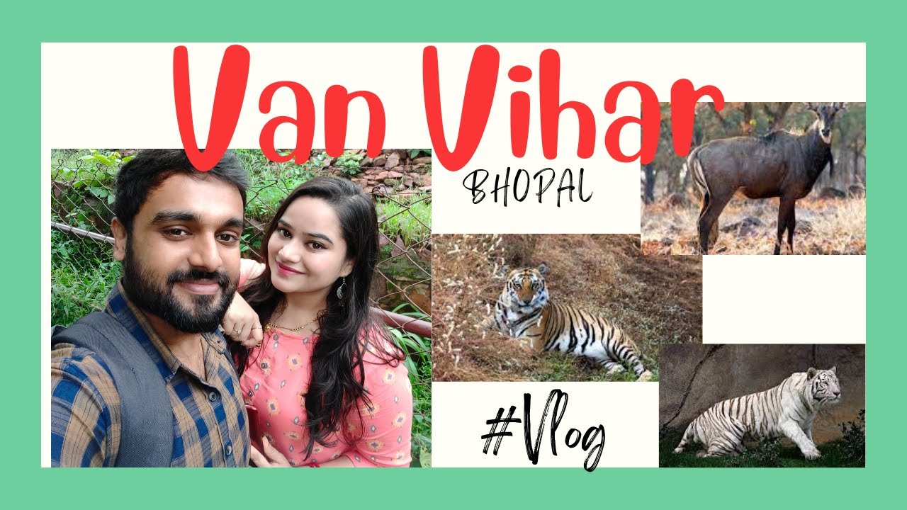 Van Vihar National Park 2021 | BHOPAL VAN VIHAR VLOG | Must visit place in Bhopal