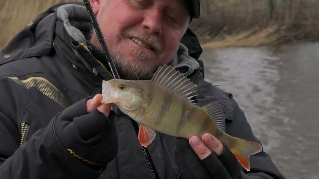 Ešeriai senvagėje.