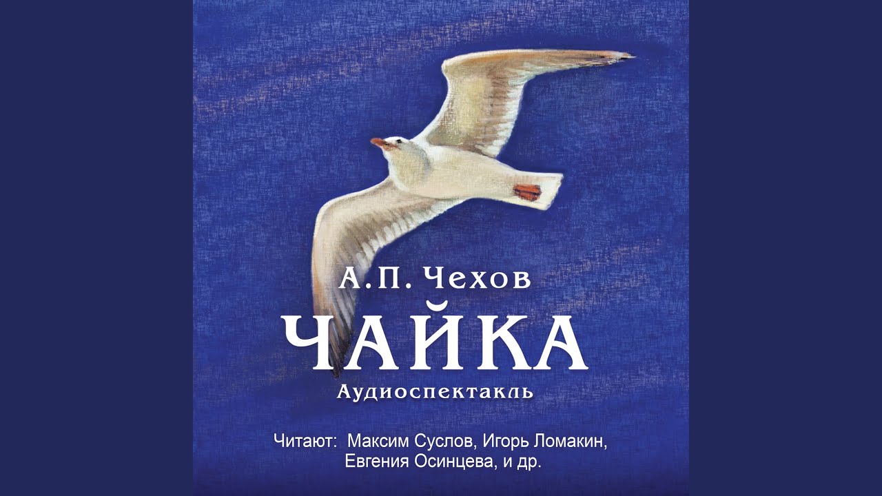 Чайка. Действие 1