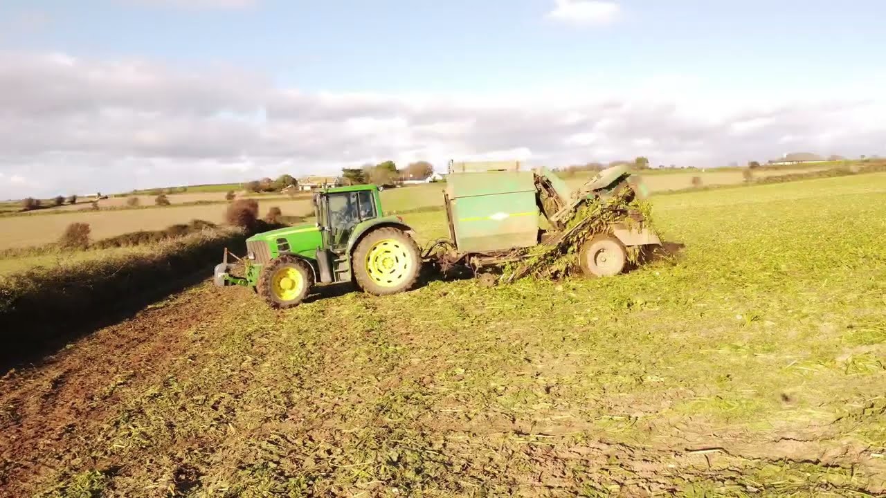 Crowley Farms Beet 2025