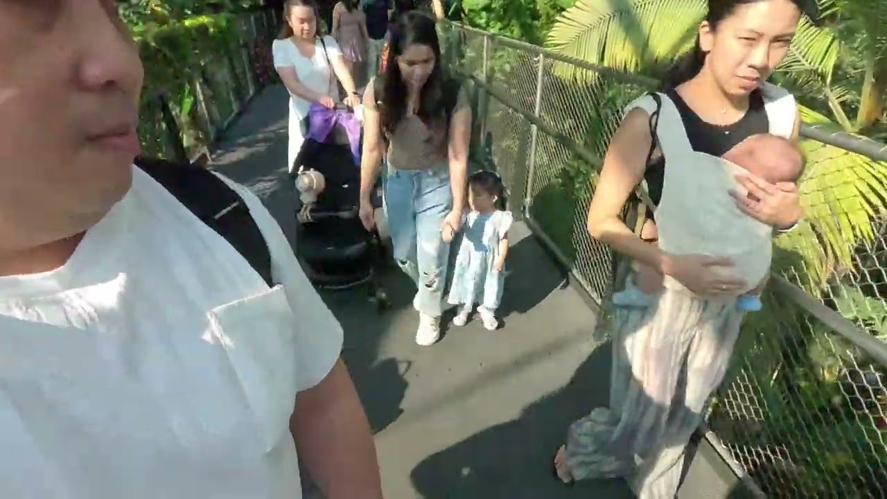 CLOUD FOREST at Singapore (Part 3)