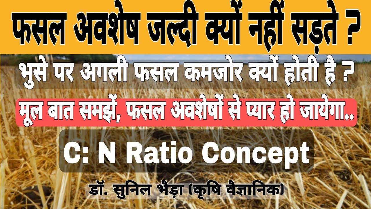 फसल अवशेष जमीन में कैसे सड़ते हैं ?Decomposition of Crop Residue/ Importance of C: N #Soil Microbes