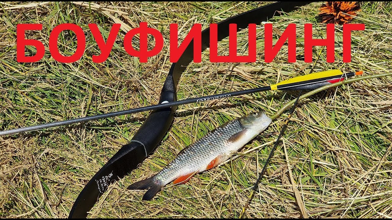Боуфишинг с традиционным луком. Без гарпунов и катушек.