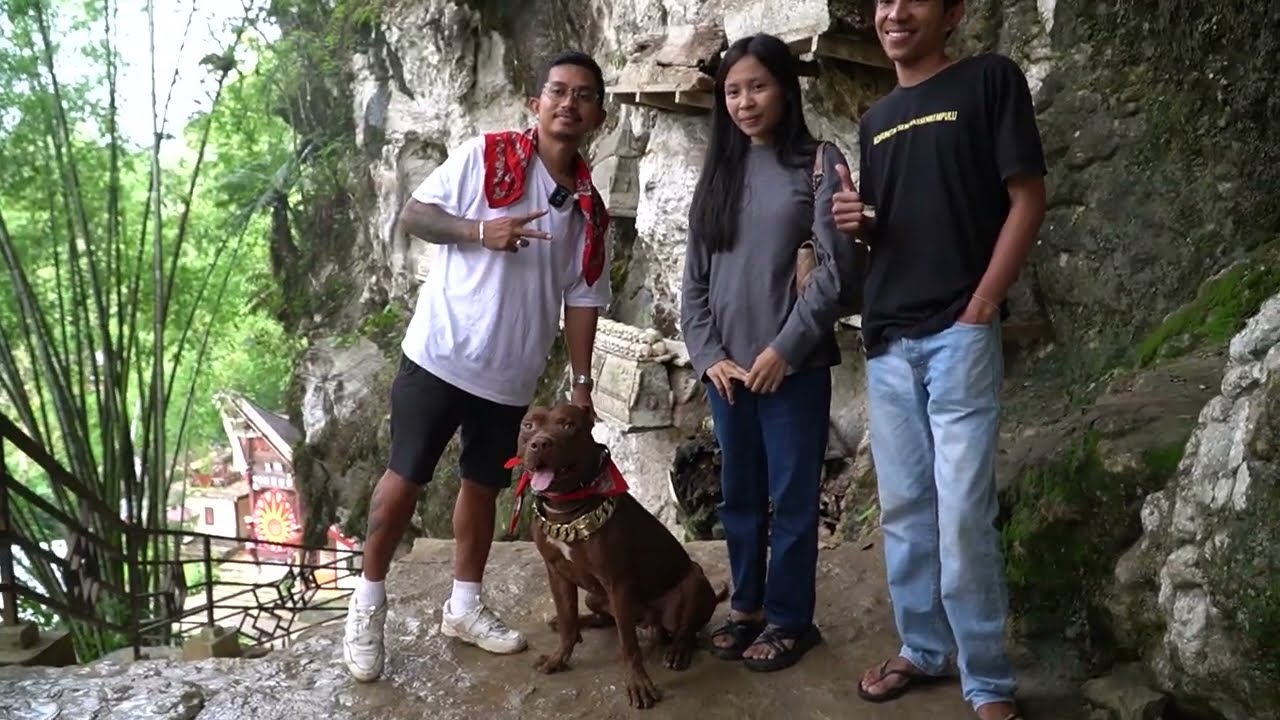 MUSSO KE KUBURAN KRAMAT DI TORAJA ‼️
