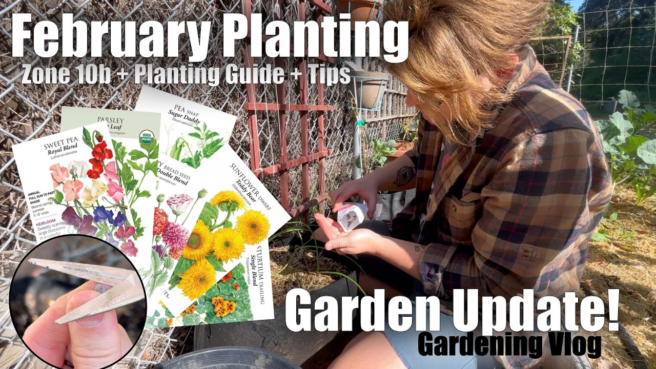 What I'm Planting in February Zone 10b + Turning JUNK into a FREE DIY Planter!