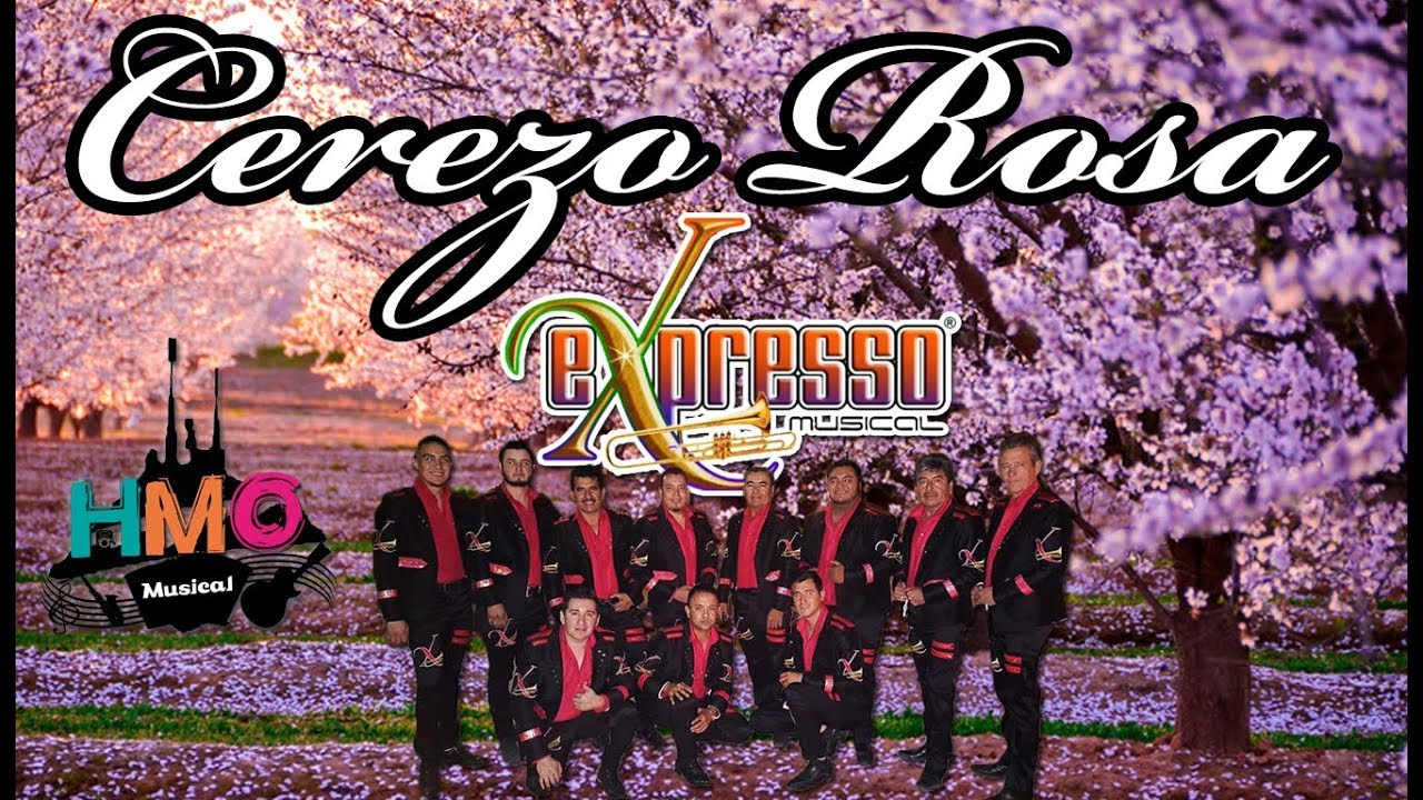 Cerezo Rosa - Expresso Musical || Versión Estudio || 2017