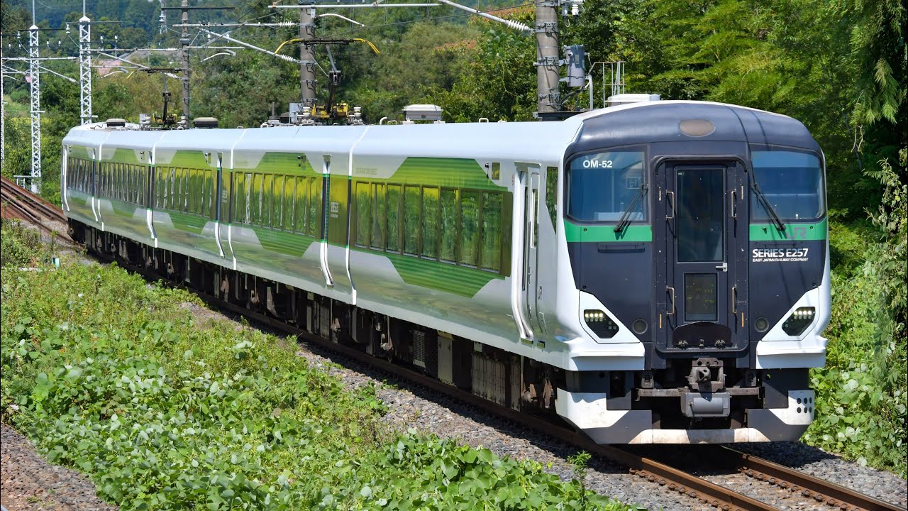 回9532M E257系5500番代 OM-52編成 特急型車両E257系で行く！ケージレス列車 わんだフルTRAIN