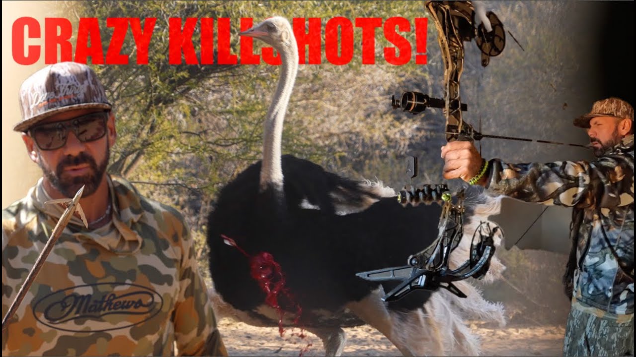African Bowhunt - African Bowhunting Adventures