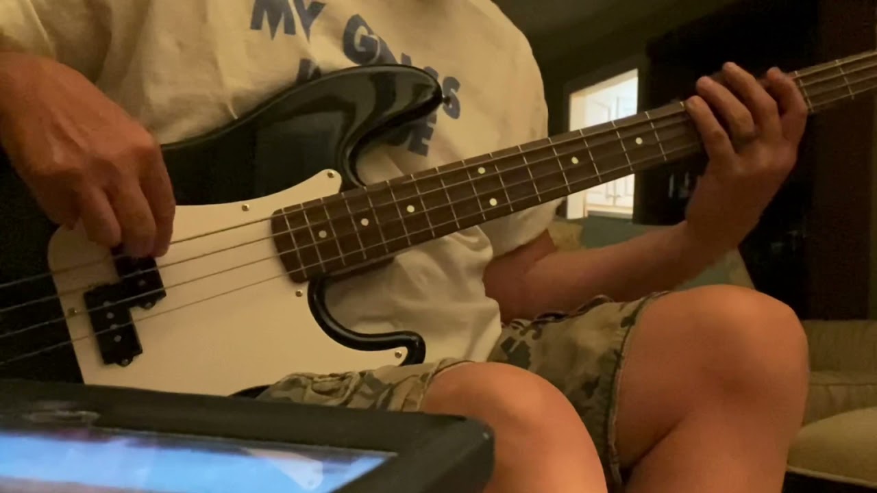 Gimme Back My Bullets Lynyrd Skynyrd Bass Cover.