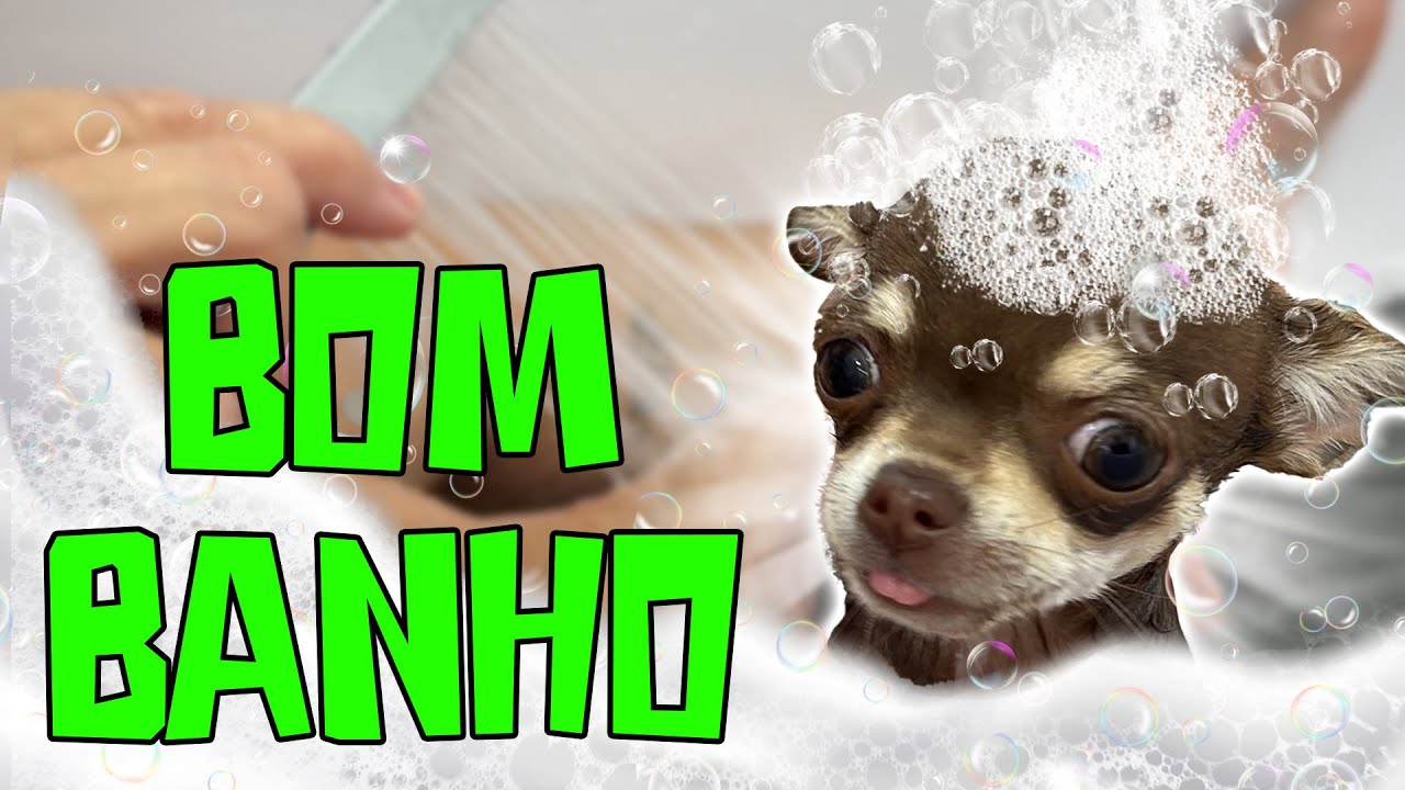 PRIMEIRO BANHO DA POLENTA + COMPILADO DOS MELHORES BANHOS DO NOSSO CANAL