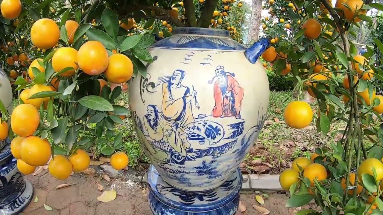 Chợ Hoa Tết Hà Nội Cuối Năm Đào, Quất, Mai Đua Nhau Khoe Sắc