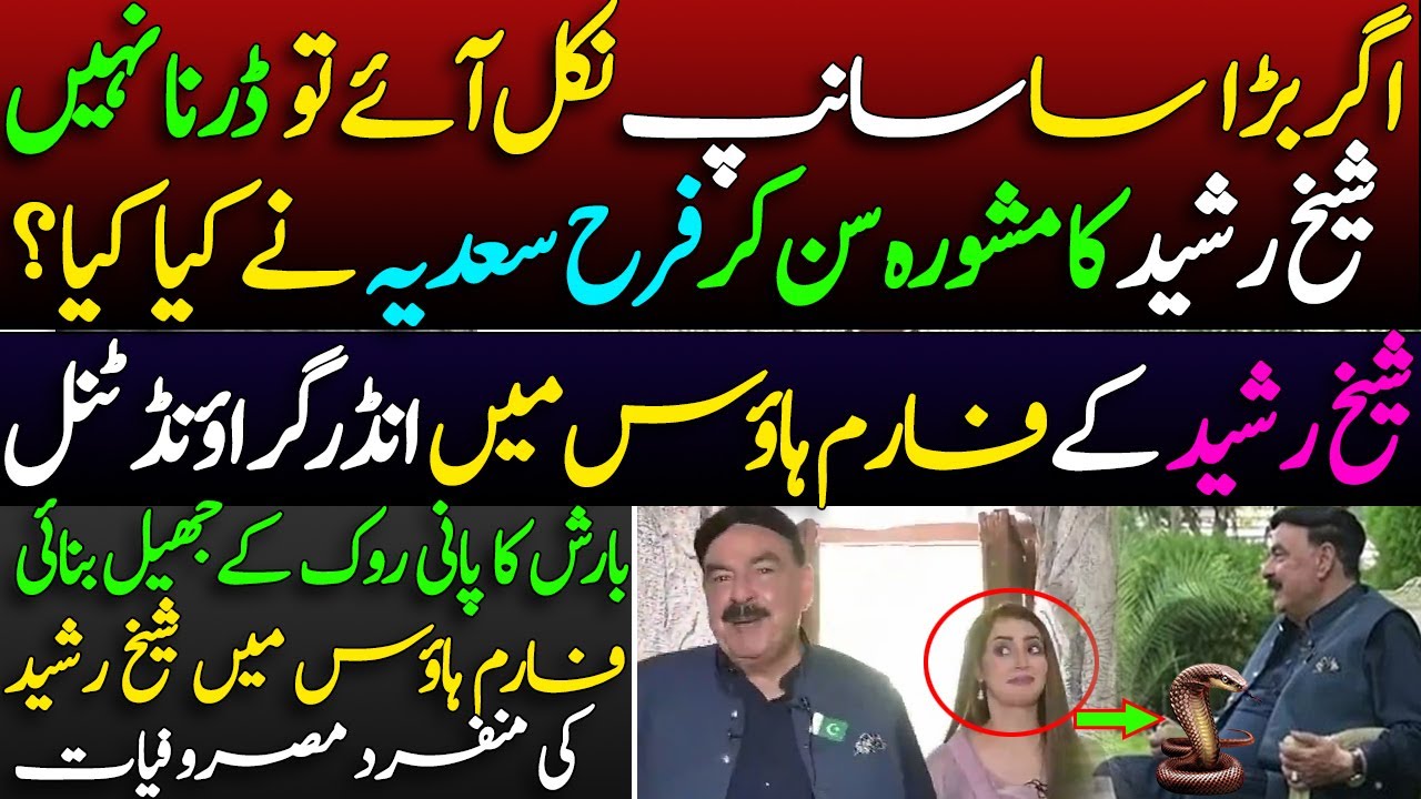 Sheikh Rasheed Ahmed's unique engagements in his FarmHouse || Farah Sadia Afraid of Snake?