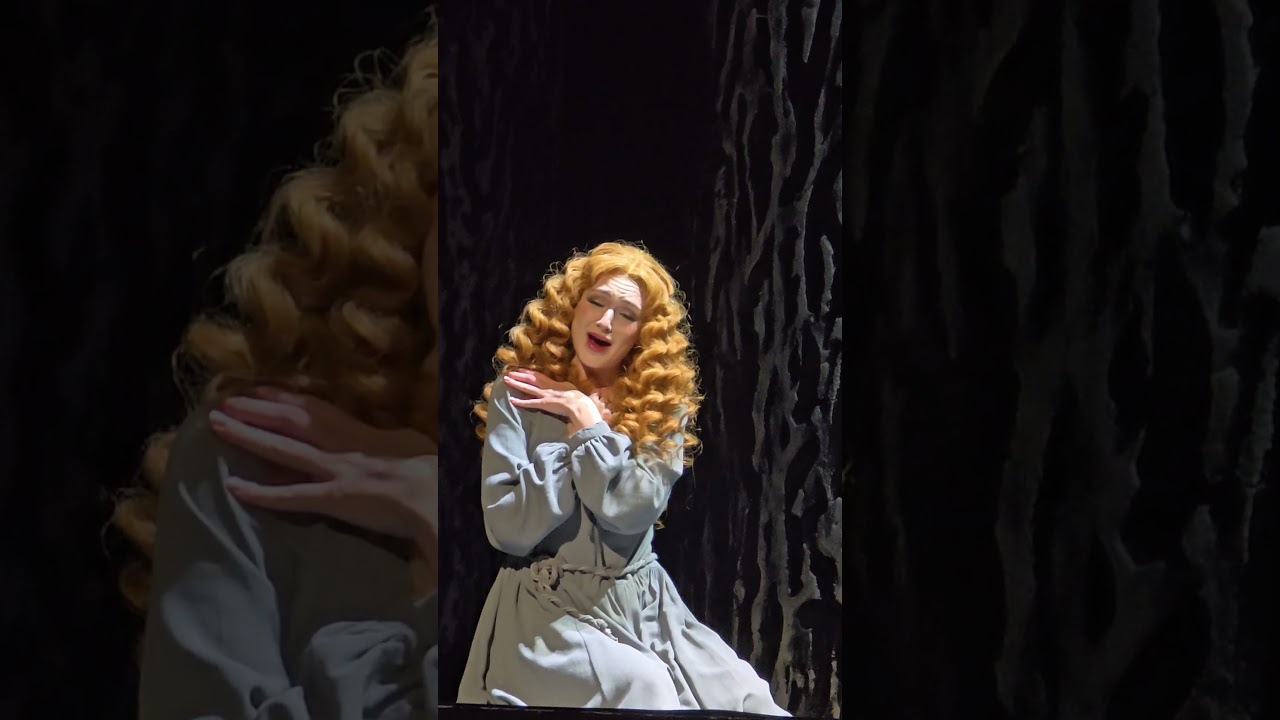 The Maid of Orleans opera by Pyotr Tchaikovsky, The Mariinsky Theatre (10.06.2025) 8