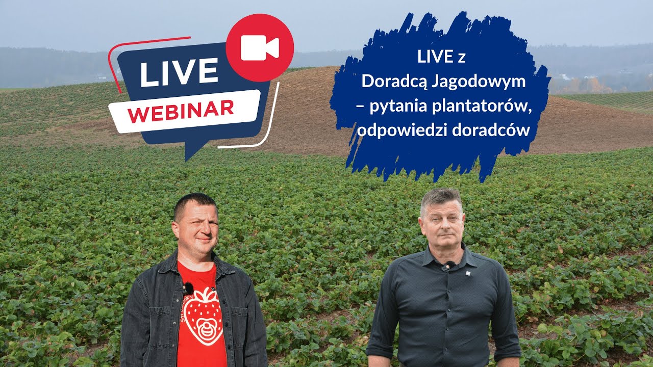 Live z Doradcą Jagodowym - pytania plantatorów, odpowiedzi doradców, na żywo i za darmo.