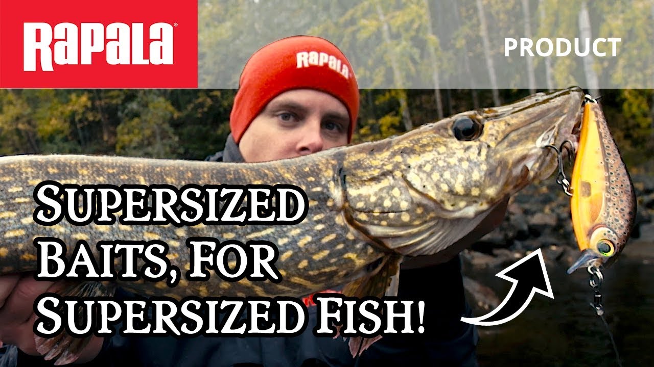 Rapala&reg; Super Shadow Rap&reg; - Our Coolest Predator Bait!