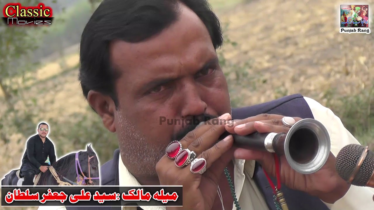 Shehnaimaster Ustad Papi Khan l Horse Dance Punjab Meerik Sial 2019/ Bani Syed ali Hamza Sultan-345