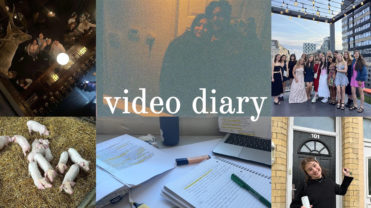Video Diary: last weeks of uni