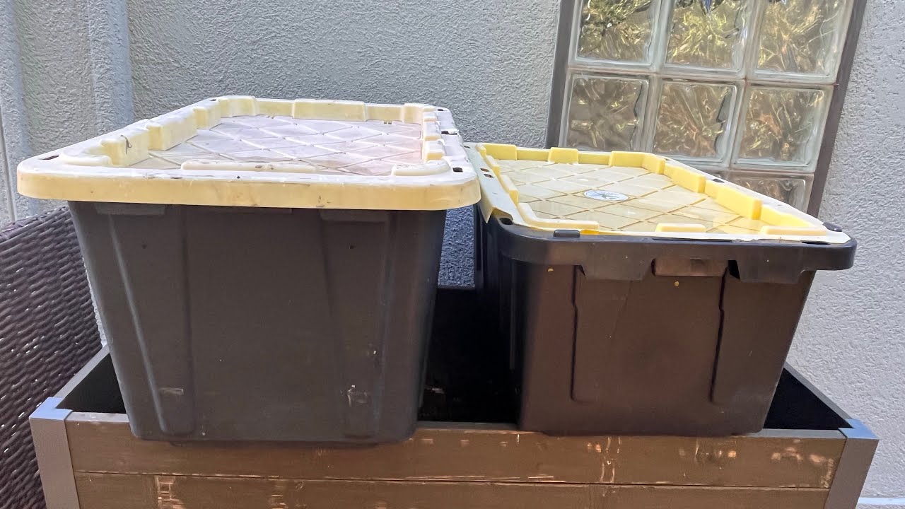 Splitting my worm bin