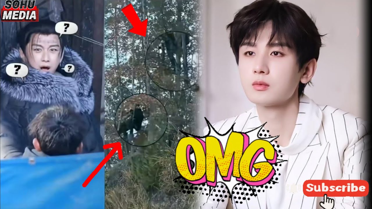 OMG! The Moment Cheng Yi Was Shocked to His Core After Seeing Paparazzi Dangling from a Tree!