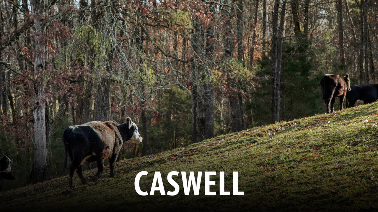 Journey Across the 100: Caswell County