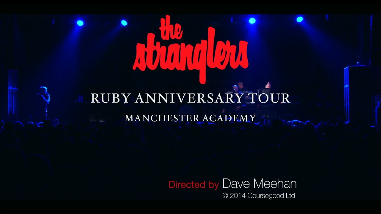 🎵 The Stranglers – Golden Brown Live in Manchester