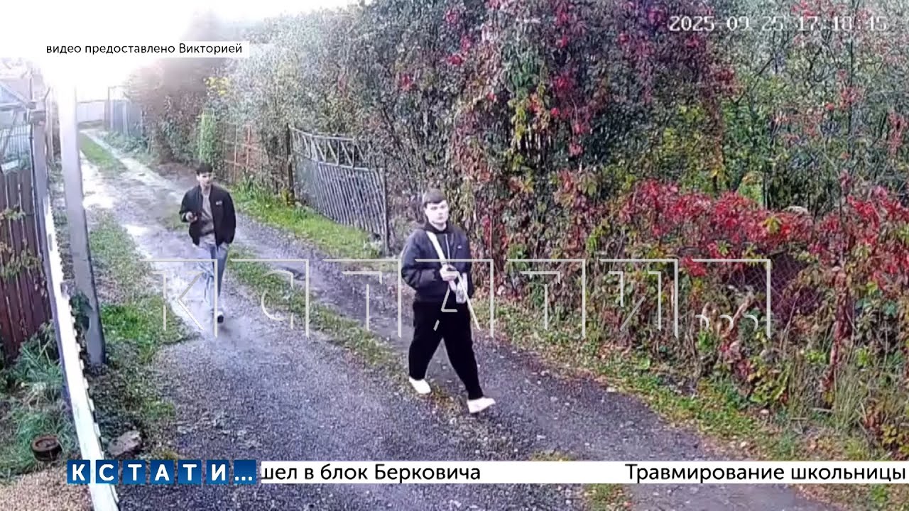 Садоводы сняли скрытой камерой наркоторговцев, выяснили где  прячут наркотики и вызвали журналистов