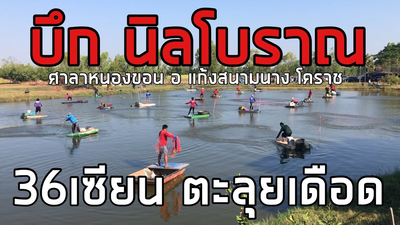 11 กุมภาพันธ์ 2569#36เซียนตะลุยเดือด บึก นิลโบราณ เพียนใหญ่บัตร1,000#สนุกลุ้นมันเทคแรก บ ศาลาหนองขอน