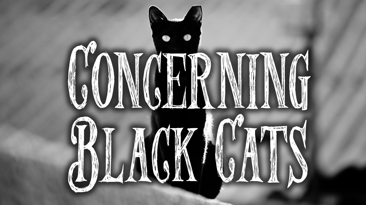 Concerning black cats