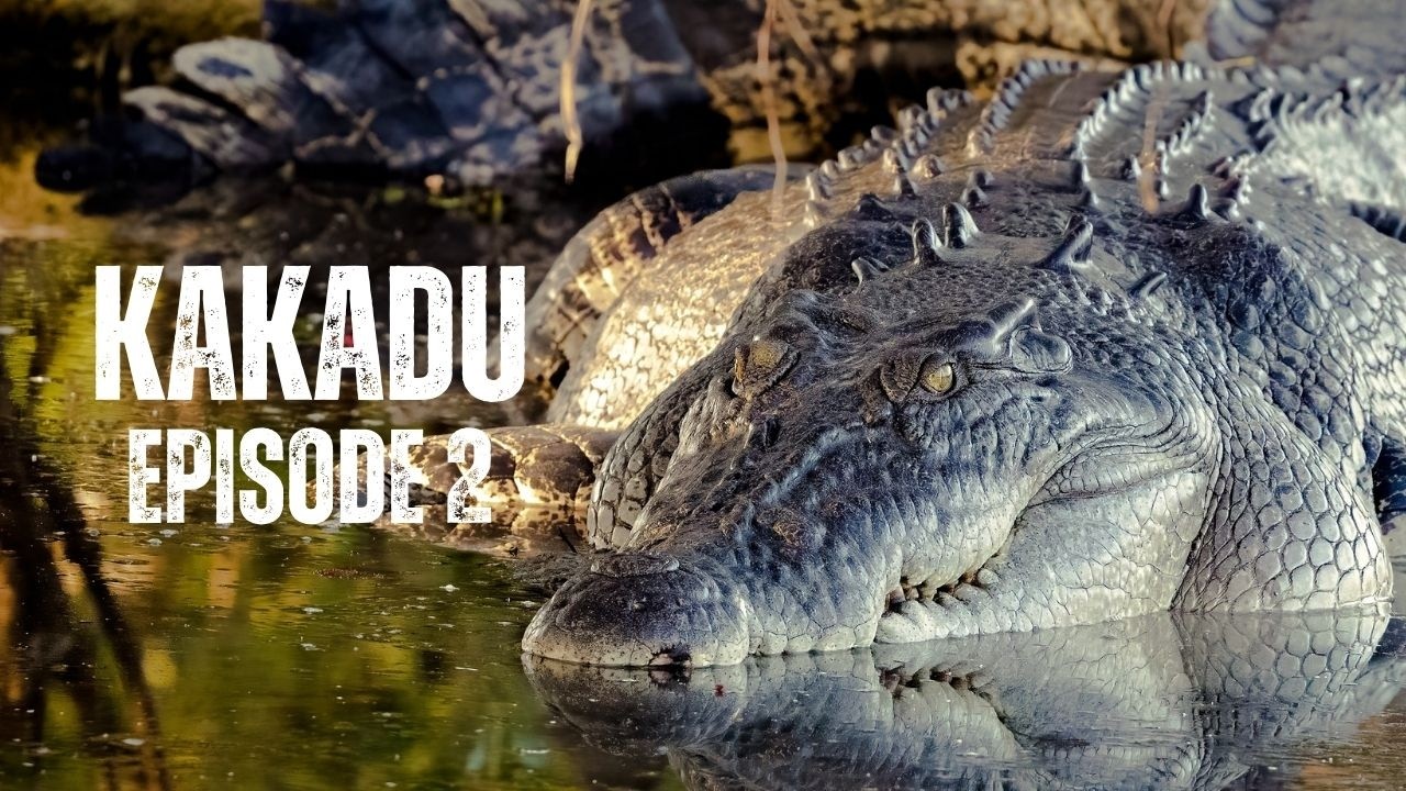 KAKADU | FULL EPISODE 