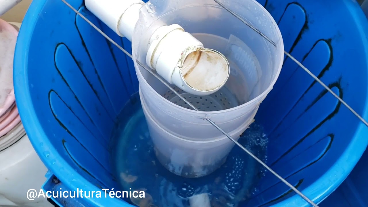 Limpieza Decantador-Sedimentador. Sistema de Recirculación 