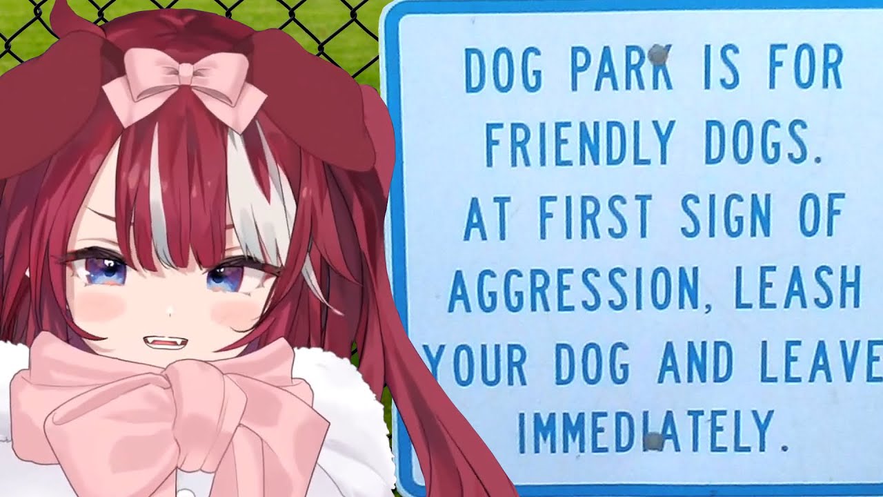 Saya's Concerns About Dog Parks