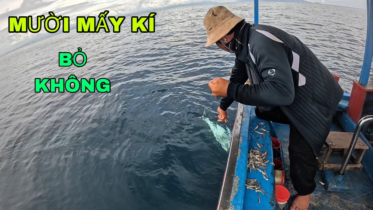774 ) TÌNH HUỐNG NÀY XEM MUỐN RỚT TIM QUÁ ỘT ƠI.