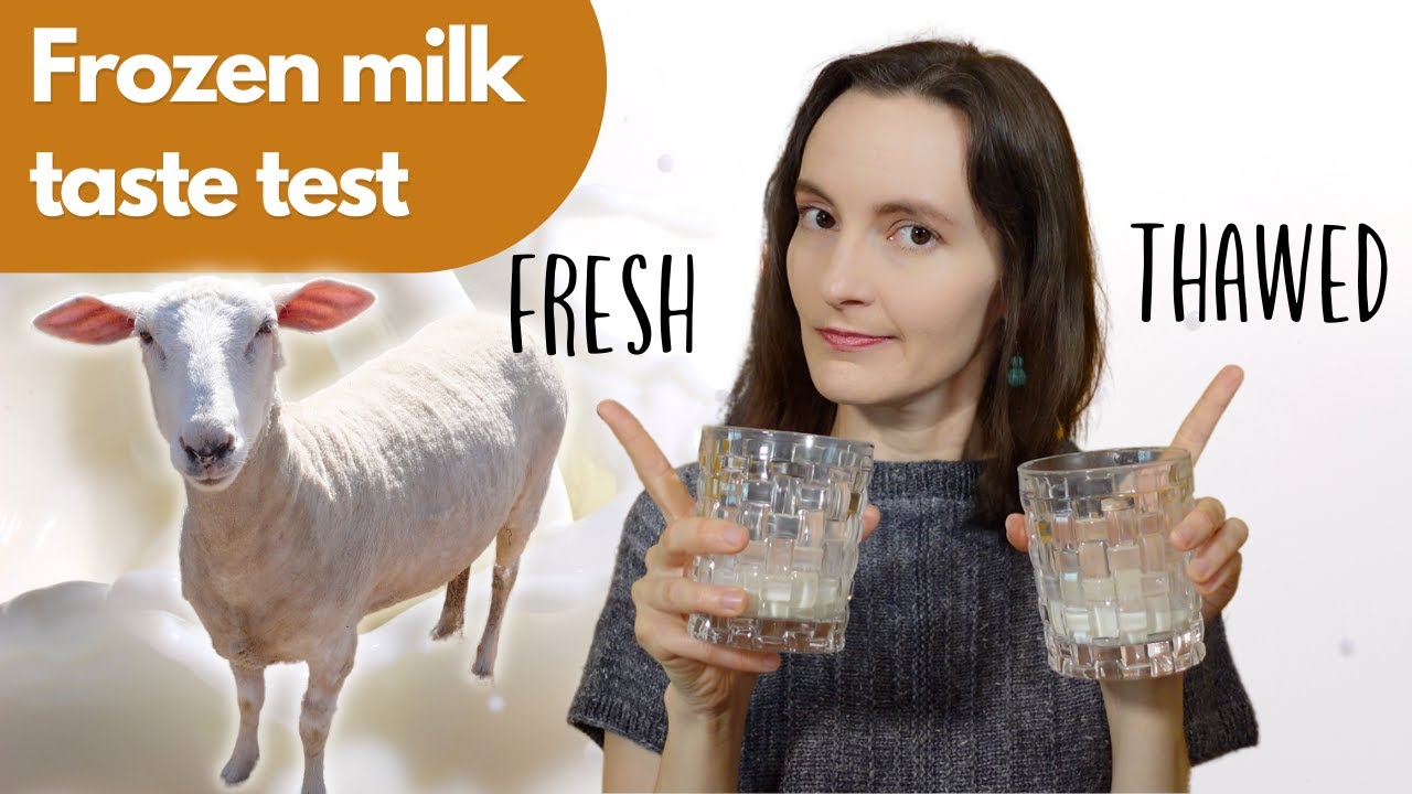 Can You Freeze Sheep's Milk?