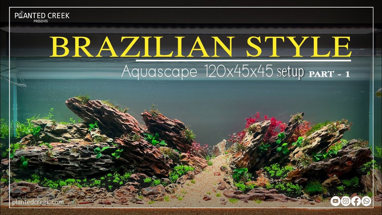 Building a BRAZILIAN STYLE Aquascape 120P | Making - PART 1#brazilian #aquascape #plantedcreek