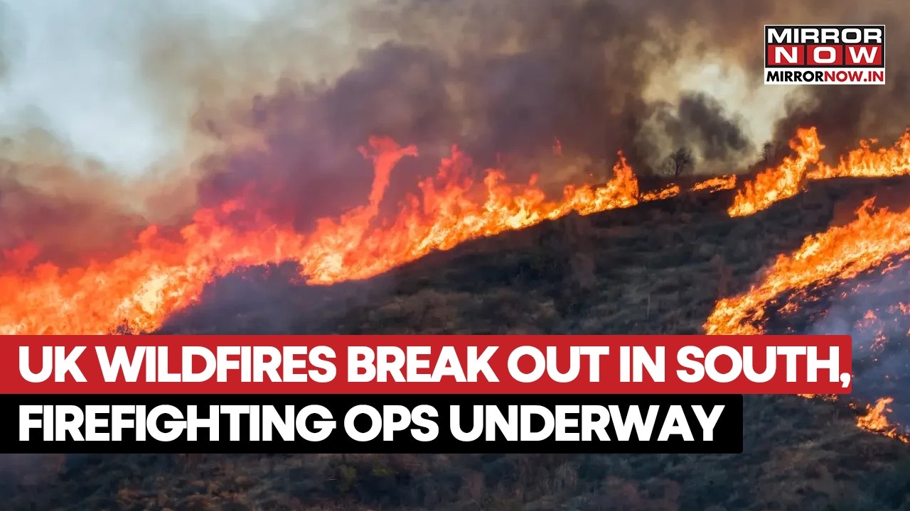 England Coast Wildfire: Helicopters Use Seawater to Fight Fast-Spreading Suffolk Blaze | WATCH
