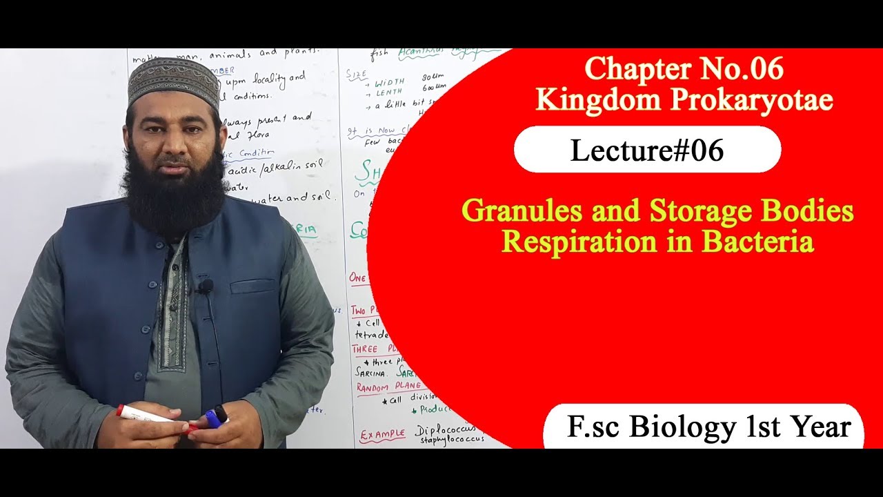 Biology Ch#06-Lecture#06 Granules and storage bodies  (F.Sc 1st Year)