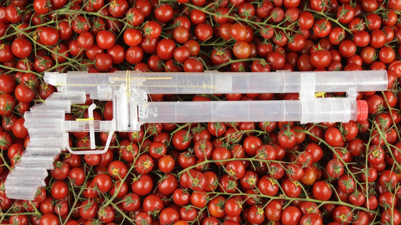 Cool Project With Syringes And Tomatos