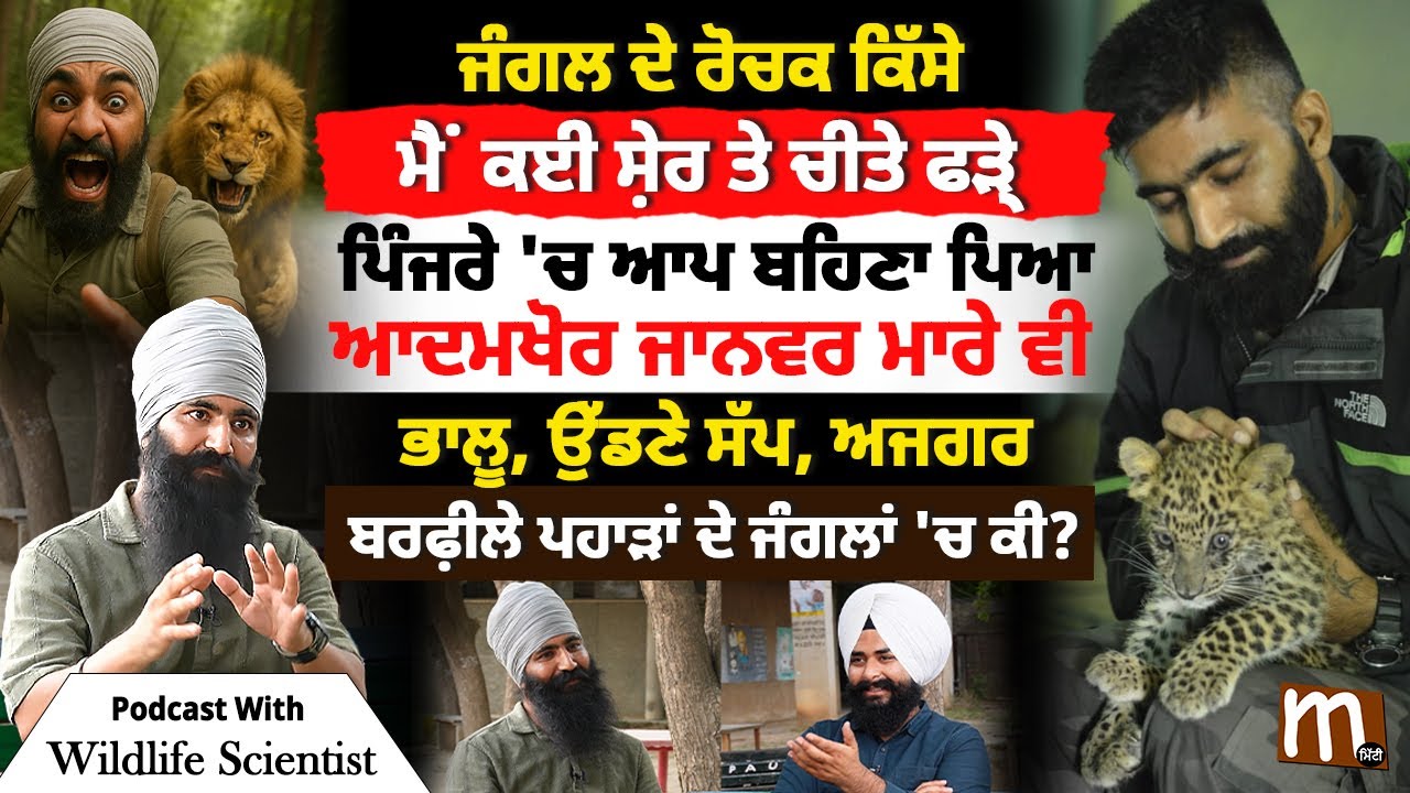 ਮੈਂ ਕਈ ਸ਼ੇਰ ਤੇ ਚੀਤੇ ਫੜ੍ਹੇ, ਆਦ'ਮਖੋਰ ਜਾਨਵਰ ਮਾ''ਰੇ ਵੀ, ਜੰਗਲ ਦੇ ਰੋਚਕ ਕਿੱਸੇ | Wildlife Scientist | Mitti