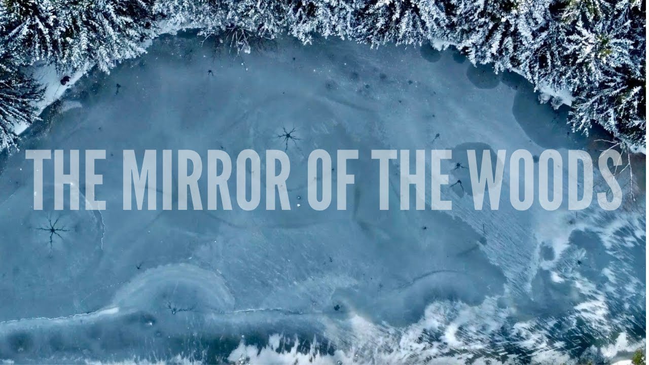 Movie From The Sky - The Mirror of the Woods | Cinematic Emotional Drone Footage | DJI Mavic Mini 2