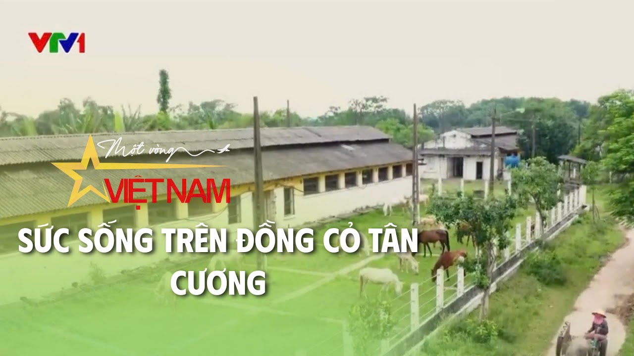Sức sống trên đồng cỏ Tân Cương |  Từ những miền quê | VTV Times