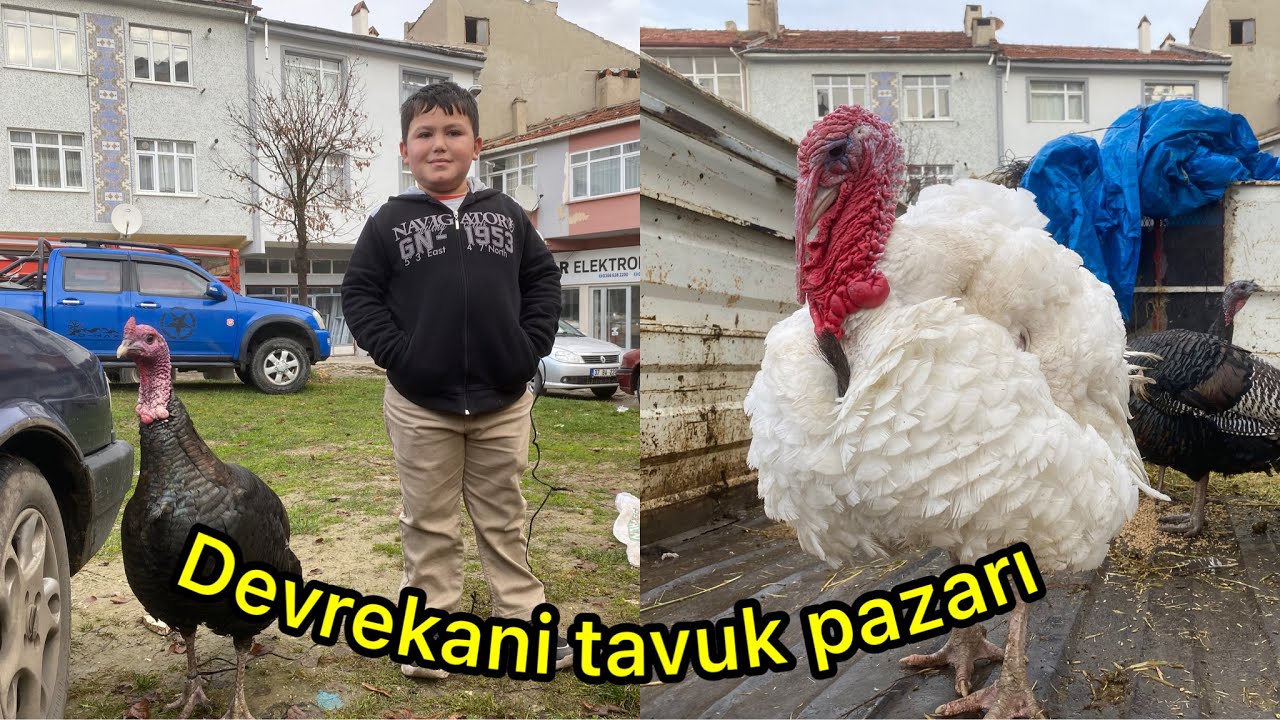 Kastamonu Devrekani’de Pazar Hareketlendi! Hindiler kazlar pazara indi Günün En Hareketli Pazarı