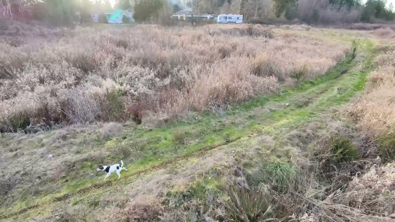 TEST HOVERAIR X1 PRO MAX