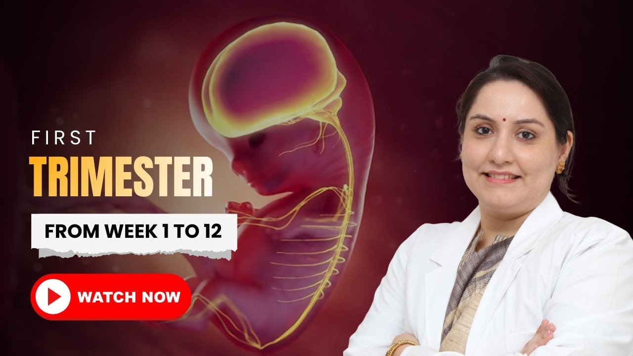 First Trimester Pregnancy | Week 1 to 12 Explained