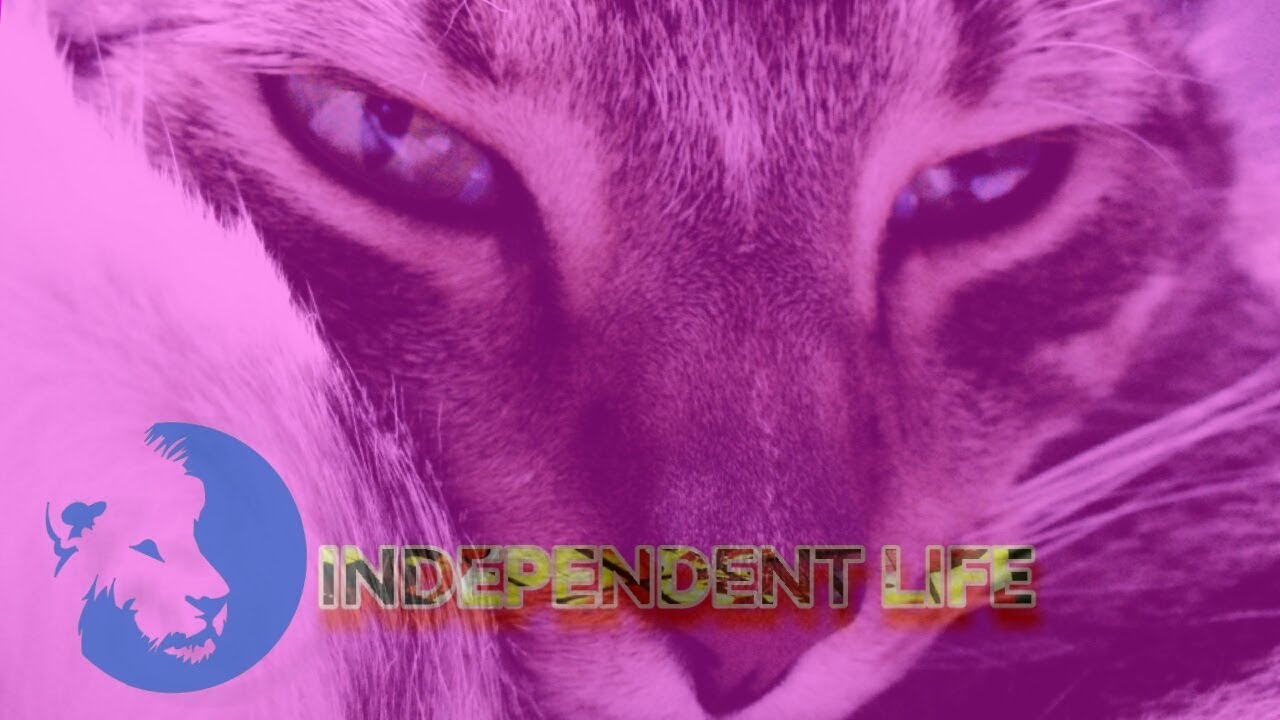 INDEPENDENT LIFE OF ANIMALS