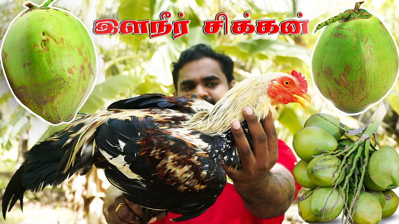 Coconut Country Chicken Fry | Elaneer Nattu Kozhi Fry | World Food Tube
