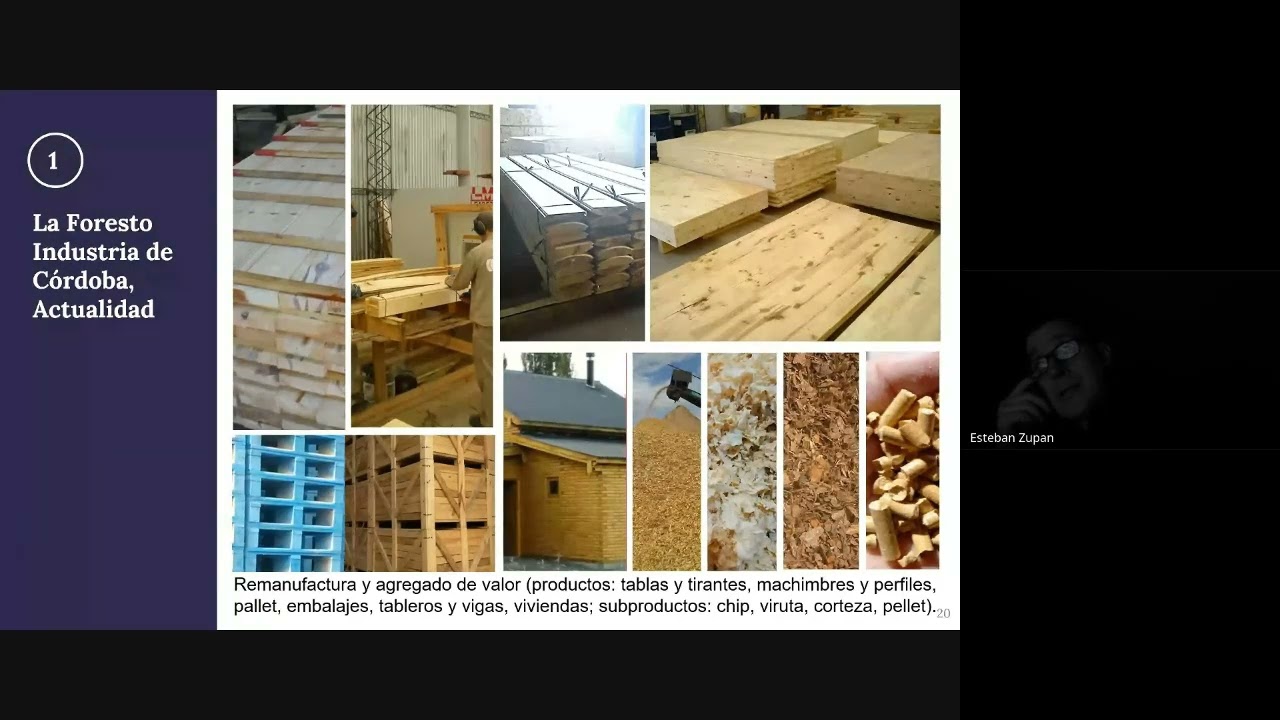 La Foresto Industria y los Cluster Forestales |