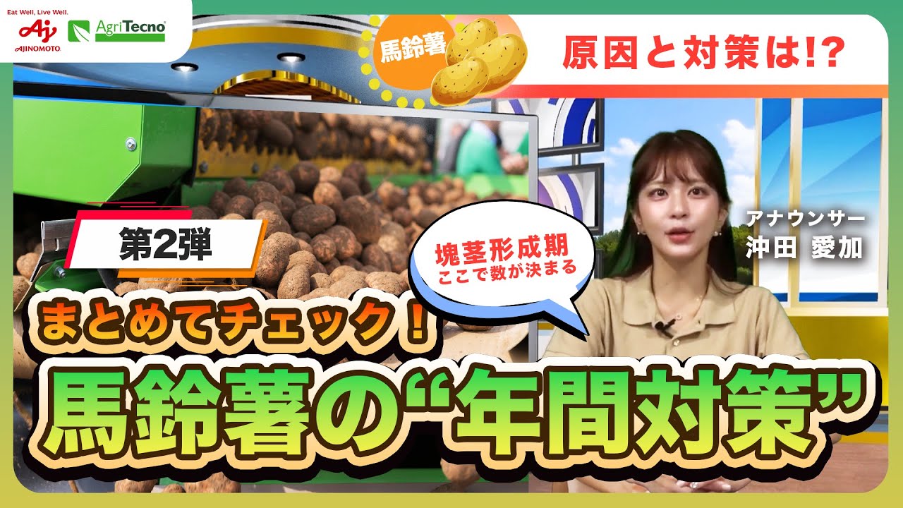 【北海道馬鈴薯】まとめて知りたい！北海道じゃがいも栽培の“３つのポイント”とは