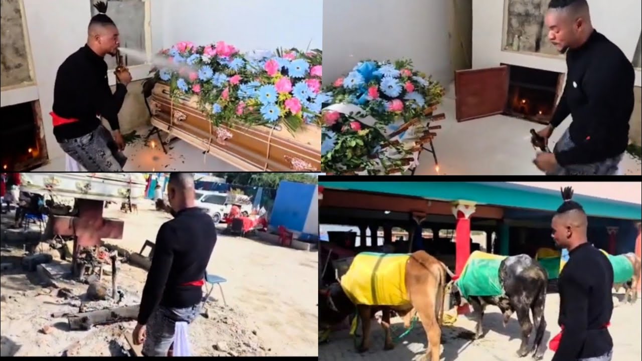 Lanmò Sanjou kap Bay Djab li Manje .Poul pa mouri 50 bèf Men video a mwen pote pou Nou .